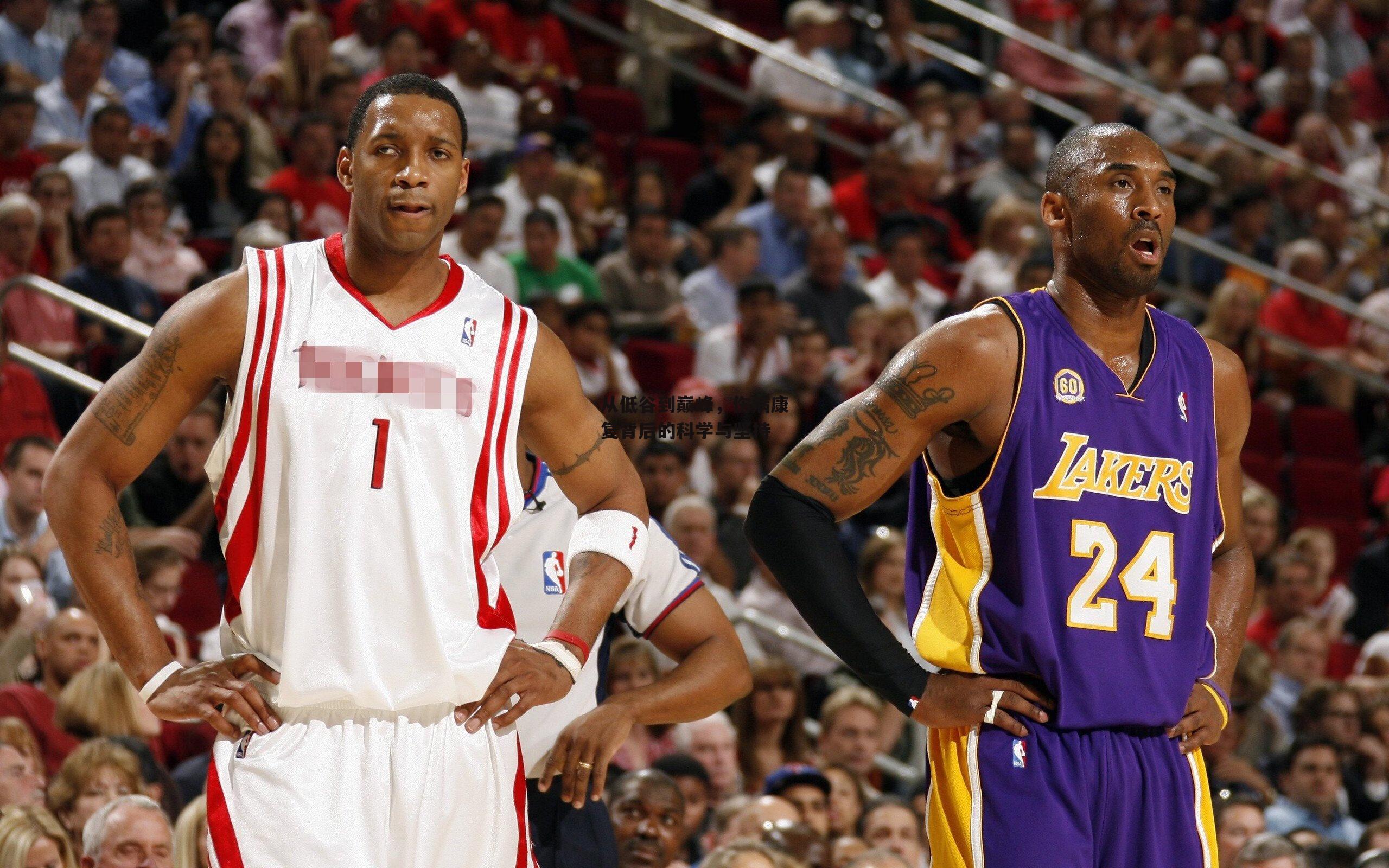 从低谷到巅峰,伤病康复背后的科学与坚持