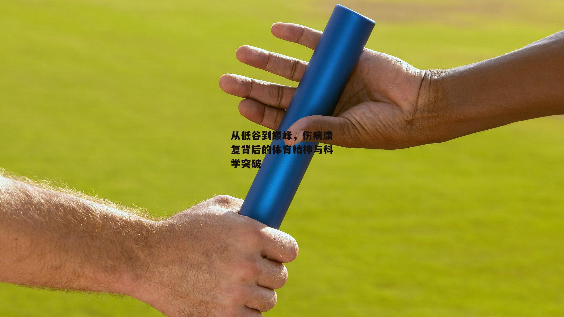 从低谷到巅峰,伤病康复背后的体育精神与科学突破